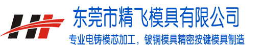 東莞市精飛模具有限公司